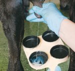 Experts meet on udder health