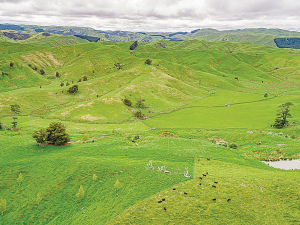 Waikato Regional Council says monitoring of effluent management has had mixed findings.