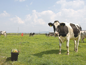 Forcefield’s range of electric fence systems include electric fence testers and solar energisers.
