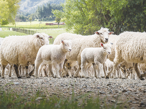 Farmers can treat their boundaries like a border and control what comes over it.