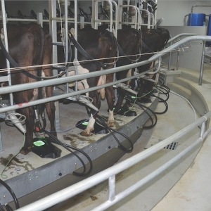 Milking system keeps up with industry demands