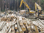 The Forestry Industry Contractors Association says forestry contractors are 'at breaking point'.