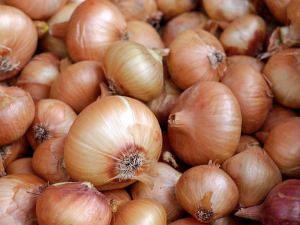 Onions New Zealand says the new NZ/UK FTA is welcomed by growers and exporters.