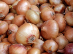 Onion growers and exporters welcome NZ/UK FTA