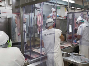 Meat companies are working hard to achieve normal processing capacity.