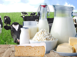 Former Fonterra executive Guy Roper appointed DCANZ chair