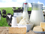 Former Fonterra executive Guy Roper appointed DCANZ chair