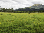 Safety programme for kids on farm