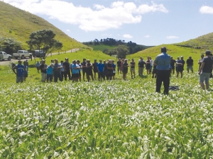 Farmers attend a field day at the partner farm.