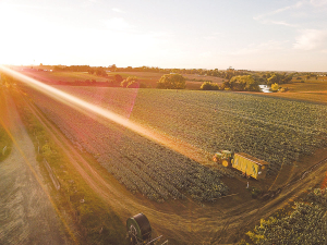 David Parker says exempting some vegetable growers from the Government&#039;s freshwater reforms wasn&#039;t easy.