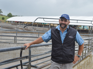 From South Africa to NZ: Afimilk Success Story