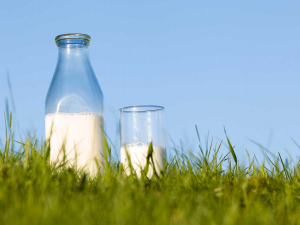 A Central Hawke&#039;s Bay farm&#039;s raw milk has been recalled.
