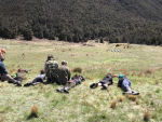 The New Zealand Deerstalkers Association (NZDA) wants the Government to put more focus on firearms education and safety. 