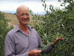 Bruce Wills has moved on from running a large livestock farm to being a small time, contract grape grower.