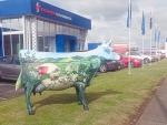 Glass cows graze the streets of Morrinsville