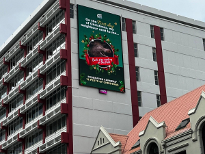 Federated Farmers launch “twelve pests of Christmas” to expose NZ’s growing pest crisis