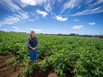 Potatoes New Zealand Celebrates Milestone Amid Grower Pressures