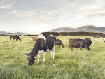 NZ&#039;s farming industry is not sitting back waiting for others to determine their fate.