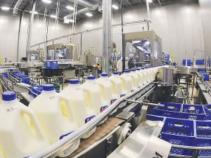 Milk prices are expected to remain at elevated levels this new season.