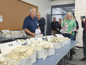 Declining NZ wool quality raises concerns for exporters, says Patterson