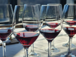Ostler Wines’ final vintage wins global awards