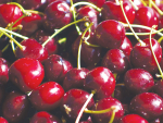 Taiwan is consuming more than $44m worth of New Zealand cherries.