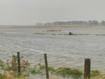 A flooded farm at Ahuriri near Napier.