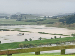 Vegetable growers in Pukekohe were hit hard by the recent flooding. Onions, spinach, broccoli and carrots are the crops hardest hit as flood water swamped paddocks like this one in Pukekohe.