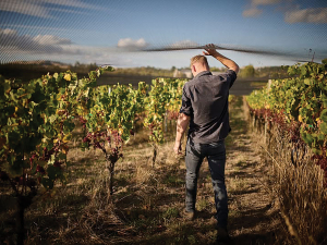 Ben McNab at Dry River Wines. Photo Credit: Amber-Jayne Bain