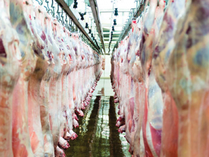 NZ’s meat industry is undergoing a long-term shift.