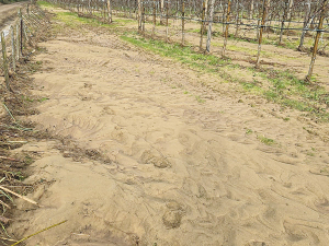 Nelson Tasman storms cause devastating damage to farms and infrastructure