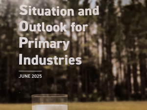 Primary exports hit new high