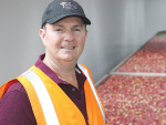 General manager of the Yummy Fruit Company, Paul Paynter, says they have been having a magnificent growing season.