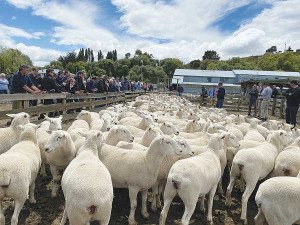 Massey University will hold a Wiltshire field day on 1 June.