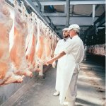 UK favours global Halal scheme