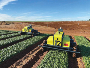 The first autonomous robot for New Zealand vegetable growers - Kilter AX-1 unit - has arrived in the country.