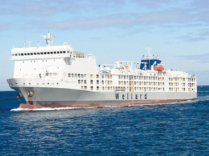 Editorial: Live Exports Dead in the Water