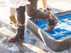Biosecurity Ranked Top Priority In KPMG Agribusiness Agenda 2026