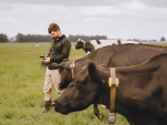 Farm manager Barry Flynn reckons the data from the collars is giving his herd every bit of health advantage.