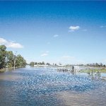 Fonterra helps flood-hit suppliers in Oz