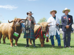 The Canterbury A&P Association has released a list of protocols to enable cattle to be displayed at this year’s show.