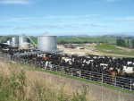 The dairy sector has proven to be the standout performer with dairy sales increasing by 38.2% in the 12 months to March 2026.