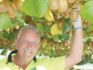 Robbie Ellison describes himself as a fisherman with a kiwifruit orcharding habit.