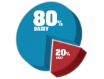 Discussions are continuing on how dairy and beef sectors will split the M. bovis bill.