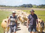 Extension 350 target farmer, Lachie McLean (left) and menor farmer Dave Robinson.