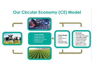 Verdus Energy’s circular economy model