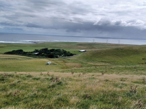 New Ship Sparks Optimism for Chatham Islands Farmers After Years of Shipping Struggles