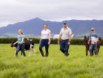 Farming under the Kaimai ranges, Bill and Michelle Burgees have a big love for Friesian cows that their children Sophie and Alex share. 