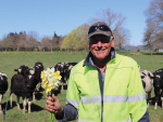 Angus Mabin, Taniwha Station, says it’s now known as the daffodil farm.