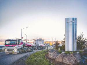 Canterbury milk processor Synlait has posted a loss of $4.3 million for 2023 financial year.